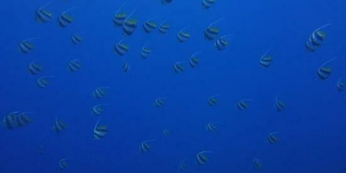 Pelican Staffing Nigeria